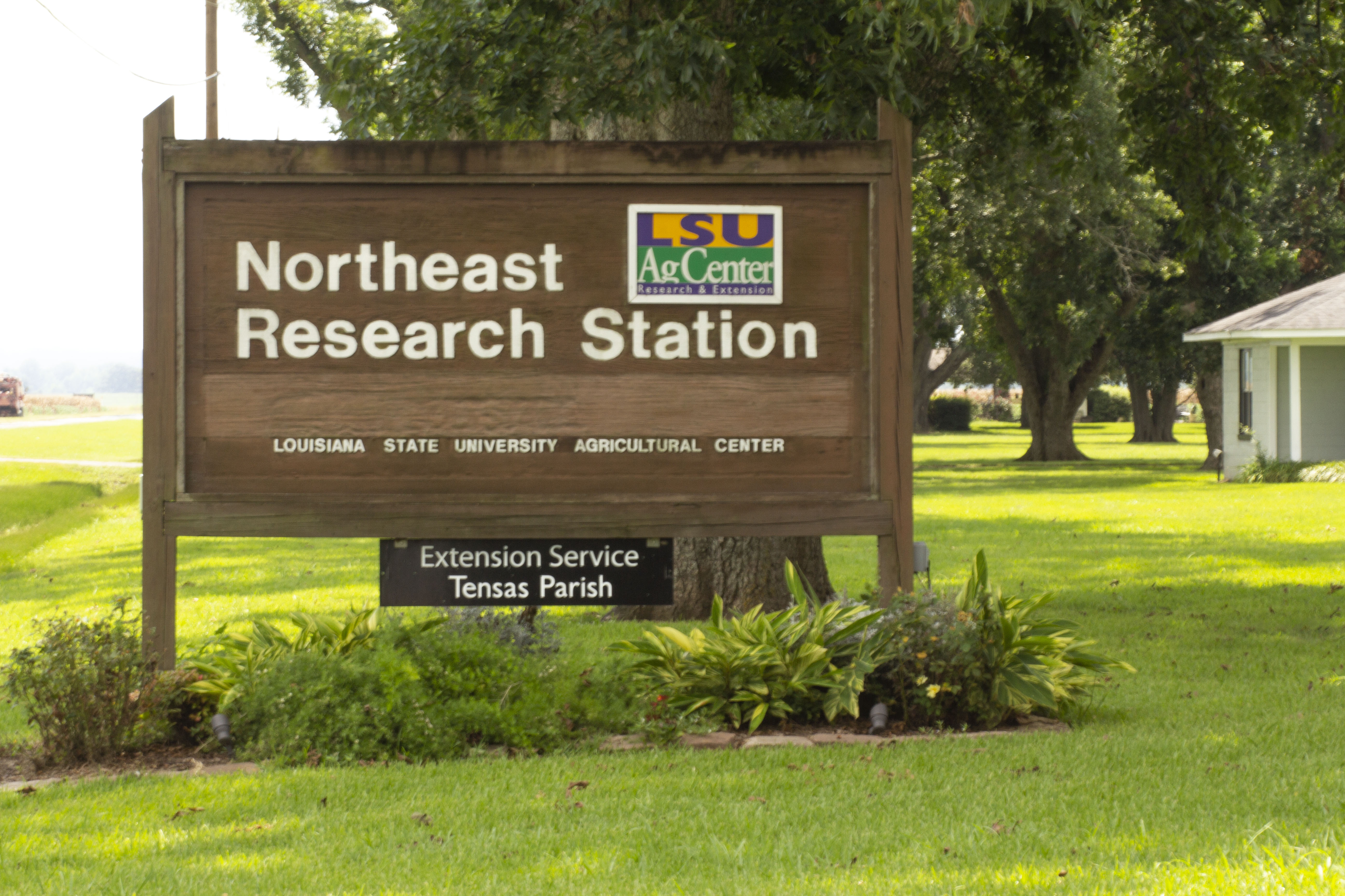 AgCenter Northeast Research Station to host soil health forum on March 2 